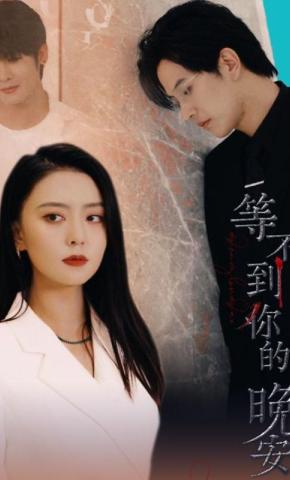短剧等不到你的晚安海报