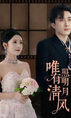 短剧唯有清风照明月海报