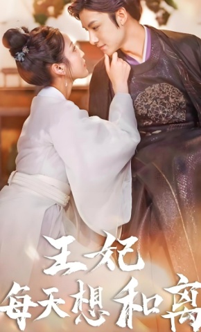 短剧《王妃每天想和离》海报