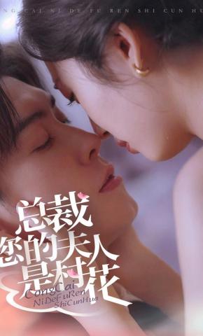 短剧总裁您的夫人是村花海报