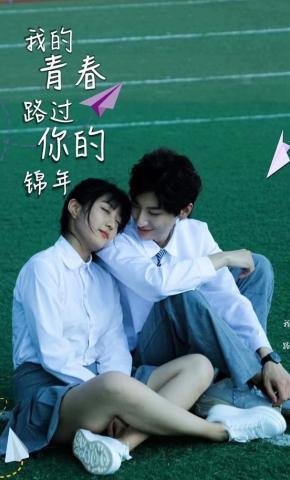 短剧《我的青春路过你的锦年》海报