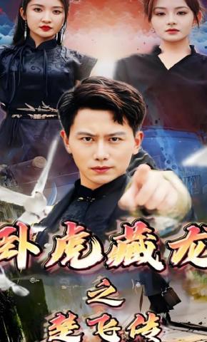 短剧卧虎藏龙之楚飞传海报