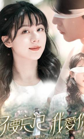 短剧《不要忘记我爱你》海报