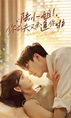 短剧《陆小姐！你前夫又来追你啦》海报