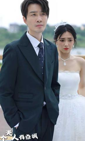 短剧这个夫人有点飒海报