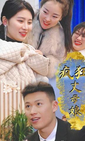 短剧疯狂丈母娘海报