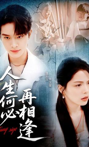 短剧《人生何必再相逢》海报
