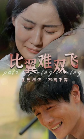 短剧《比翼难双飞》海报
