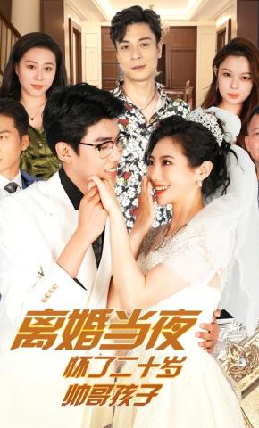 短剧离婚当夜怀了二十岁帅哥孩子海报