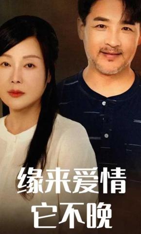 短剧缘来爱情它不晚海报