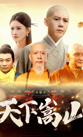 短剧天下嵩山海报