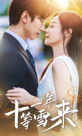 短剧十一年等雪来海报