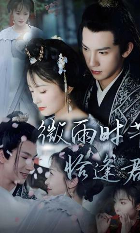 短剧《微雨时节恰逢君》海报