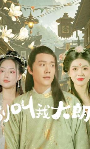 短剧别叫我大朗海报