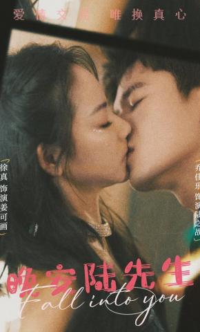 短剧《晚安陆先生》海报