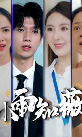 短剧《小雨知薇》海报