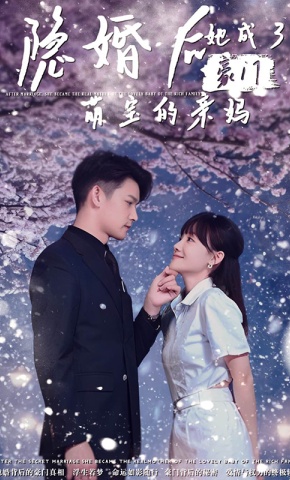 短剧《隐婚后，她成了豪门萌宝的亲妈》海报