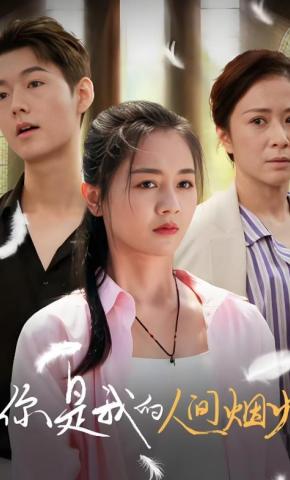 短剧《你是我的人间烟火》海报