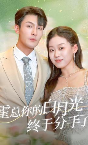 短剧霍总你的白月光终于分手了海报