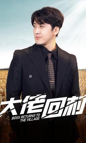 短剧《大佬回村》海报