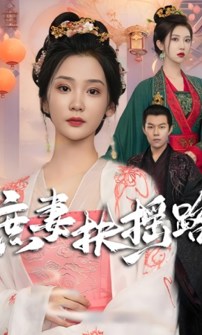 短剧庶妻扶摇路海报