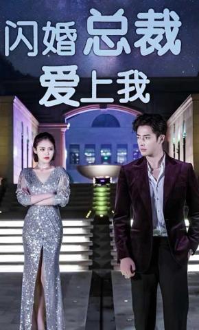 短剧闪婚总裁爱上我海报