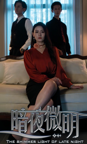 短剧暗夜微明海报