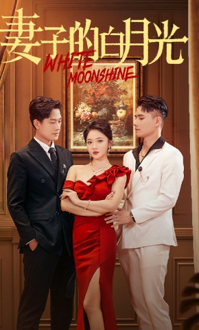 短剧《妻子的白月光》海报