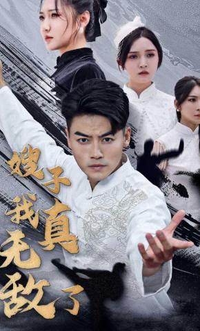 短剧《嫂子我真无敌了》海报