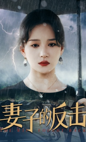 短剧《妻子的反击》海报