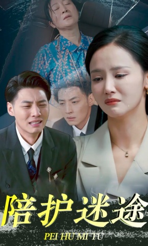 短剧《陪护迷途》海报