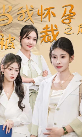 短剧当我怀孕被裁之后海报