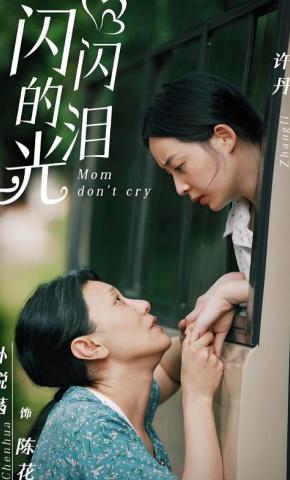 短剧闪闪的泪光海报