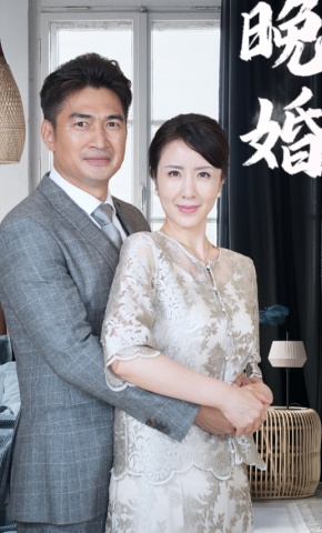 短剧晚婚海报