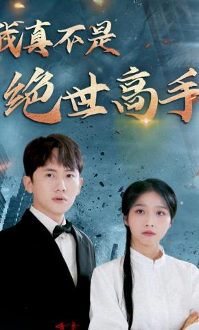 短剧我真不是绝世高手海报