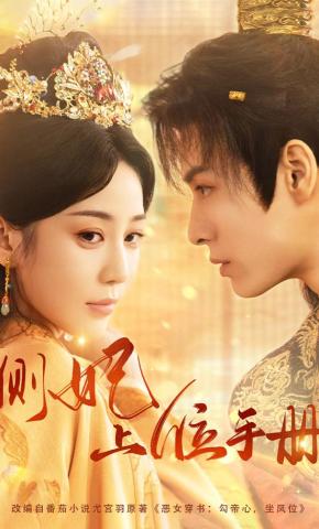 短剧《侧妃上位手册》海报