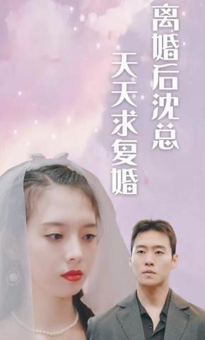 短剧离婚后沈总天天求复婚海报