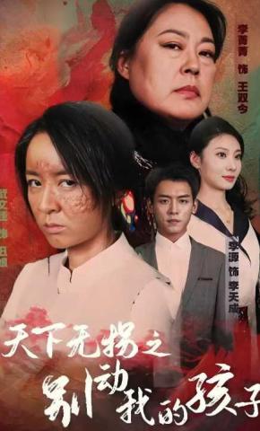 短剧天下无拐之别动我的孩子海报