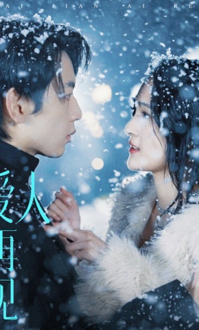 短剧爱人再见海报