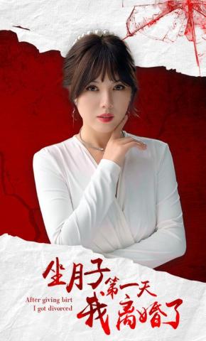 短剧坐月子第一天我离婚了海报