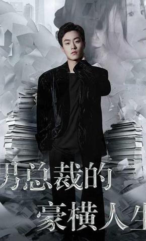 短剧《男总裁的豪横人生》海报