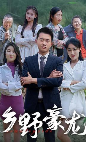 短剧《乡野豪龙》海报