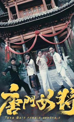 短剧《唐门女将》海报