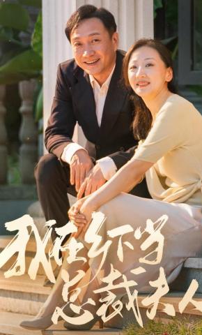 短剧我在乡下当总裁夫人海报