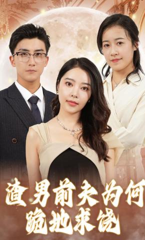 短剧渣男前夫为何跪地求饶海报