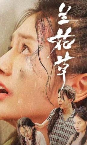 短剧《兰花草》海报