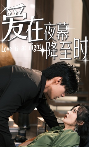 短剧爱在夜幕降至时海报