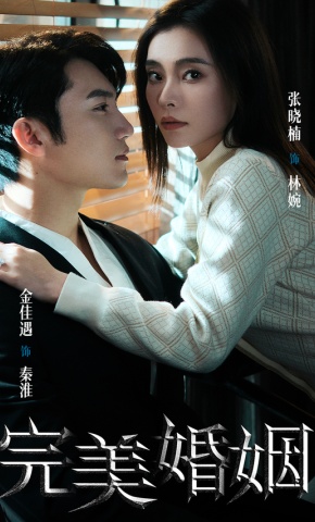短剧《完美婚姻》海报