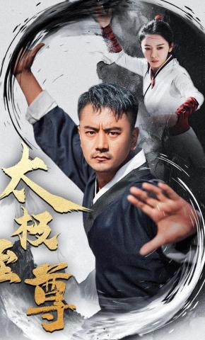 短剧太极至尊海报