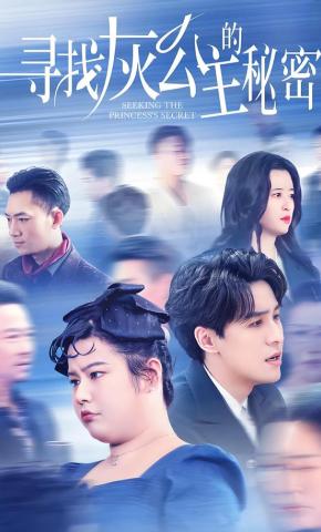 短剧寻找灰公主的秘密海报